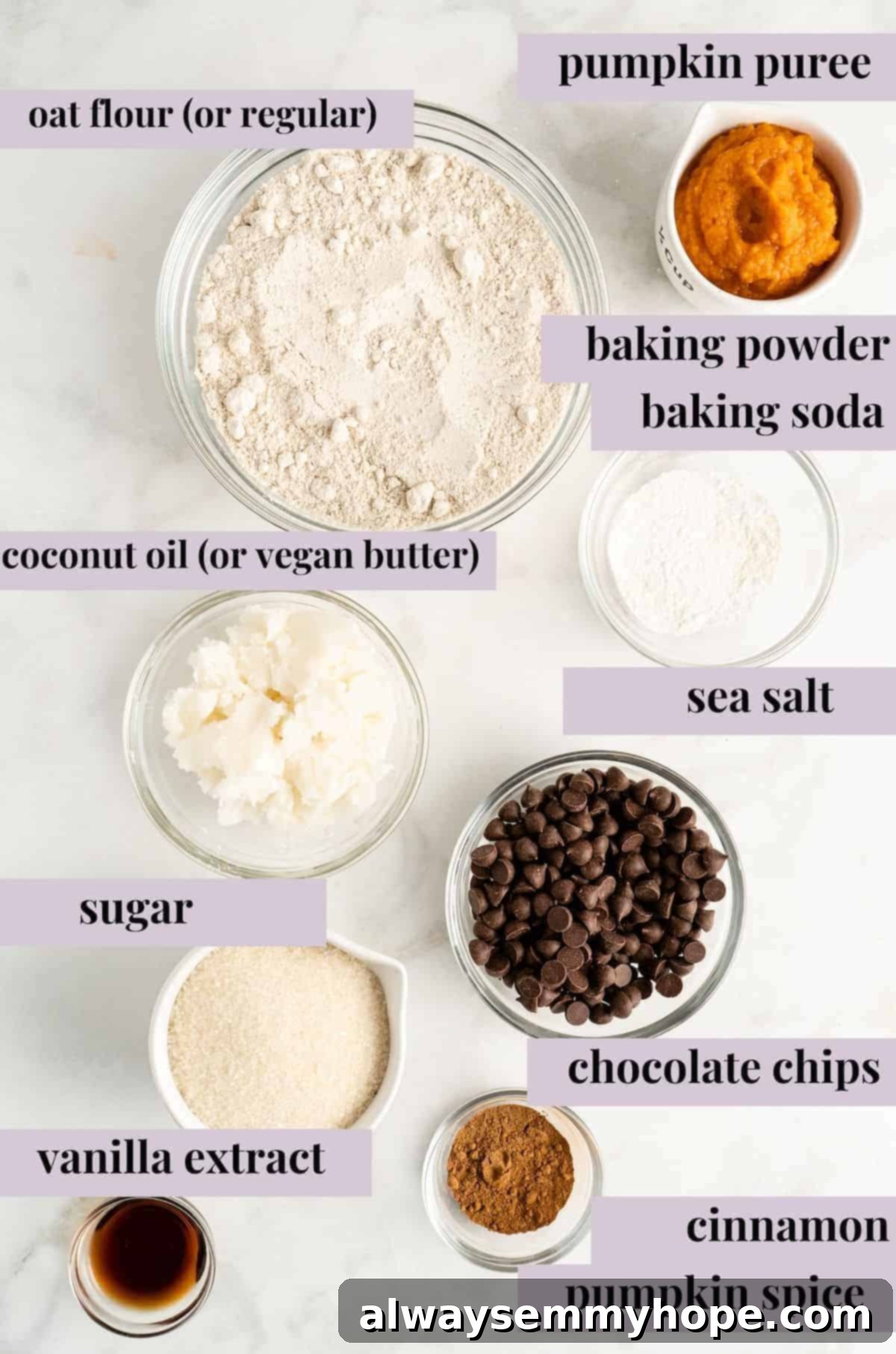 These vegan gluten-free chocolate chip cookies are an easy one-bowl recipe! Make soft, chewy, bakery-style cookies loaded with chocolate. Overhead shot of vegan gluten-free chocolate chip cookies ingredients with text labels overlaying each ingredient.