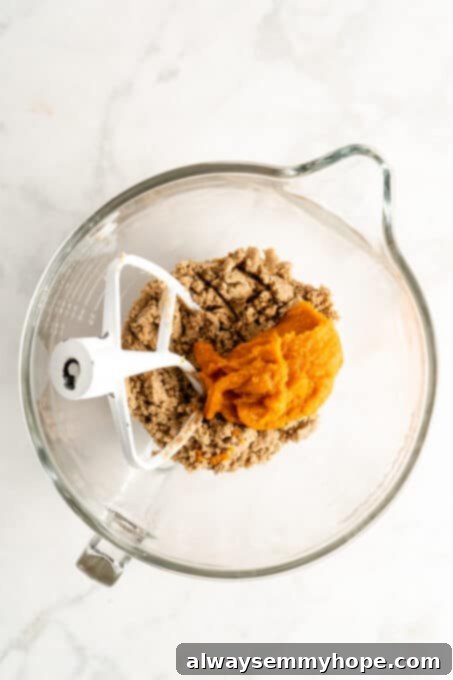 These vegan gluten-free chocolate chip cookies are an easy one-bowl recipe! Make soft, chewy, bakery-style cookies loaded with chocolate. Glass mixing dough with pumpkin puree being incorporated into cookie dough