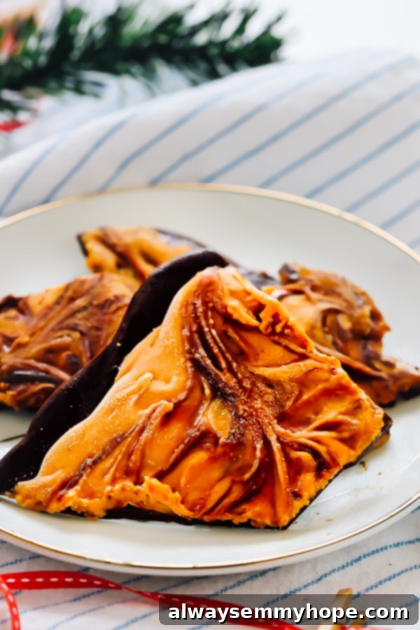Chunks of dark chocolate bark on a white plate.