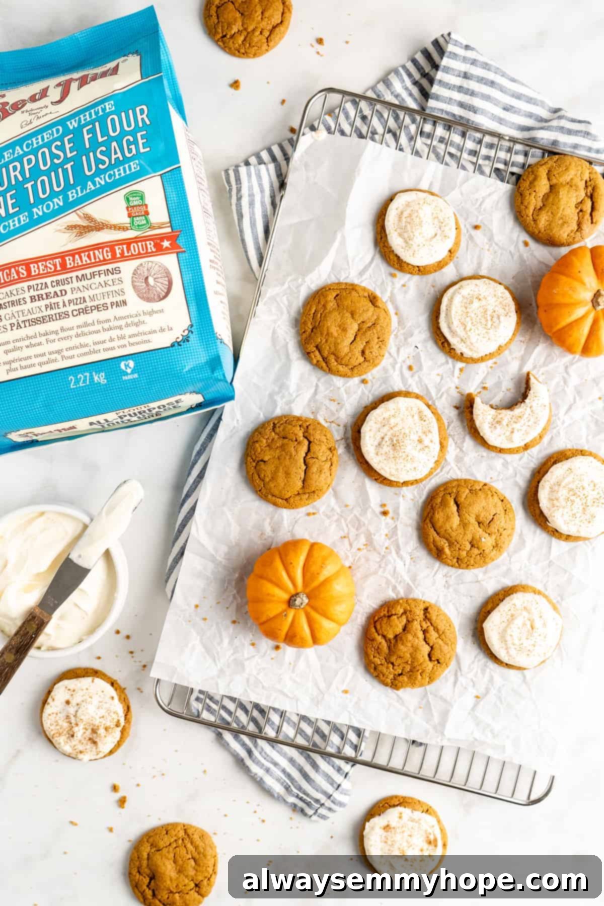 These easy vegan pumpkin cookies are ultra-soft. Made with 10 ingredients, they're topped with an irresistible cream cheese frosting, too! A selection of baked vegan pumpkin cookies, some beautifully frosted, cooling on a wire rack.