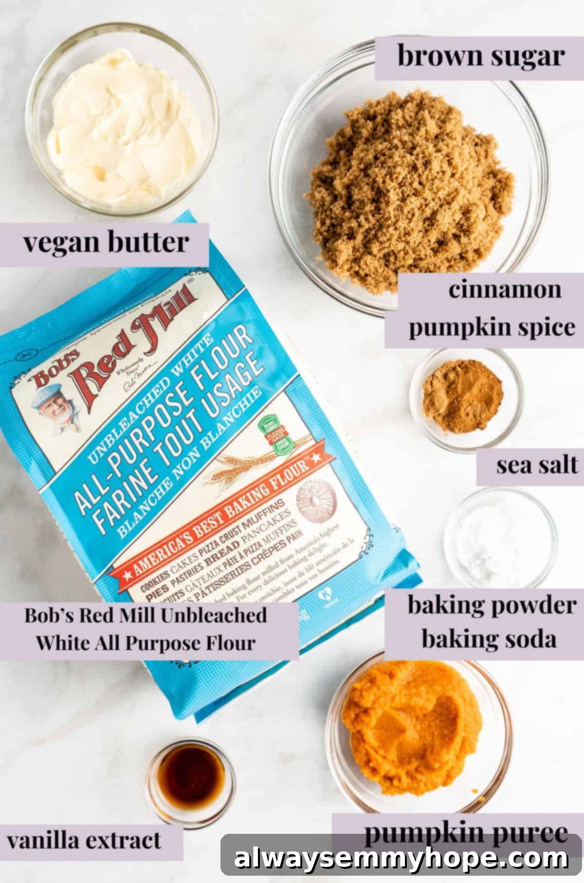 These easy vegan pumpkin cookies are ultra-soft. Made with 10 ingredients, they're topped with an irresistible cream cheese frosting, too! Carefully laid out ingredients for making vegan pumpkin cookies, including flour, sugar, spices, and pumpkin puree, with labels for easy identification.