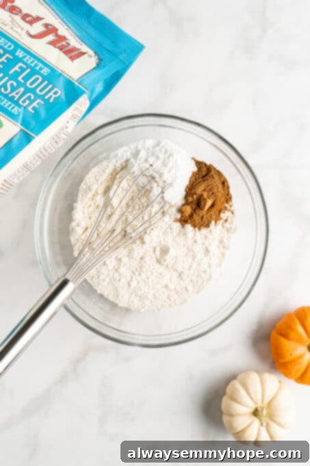 These easy vegan pumpkin cookies are ultra-soft. Made with 10 ingredients, they're topped with an irresistible cream cheese frosting, too! Close-up of the dry ingredients for pumpkin spice cookies in a bowl, showing the fine texture of the flour and spices.