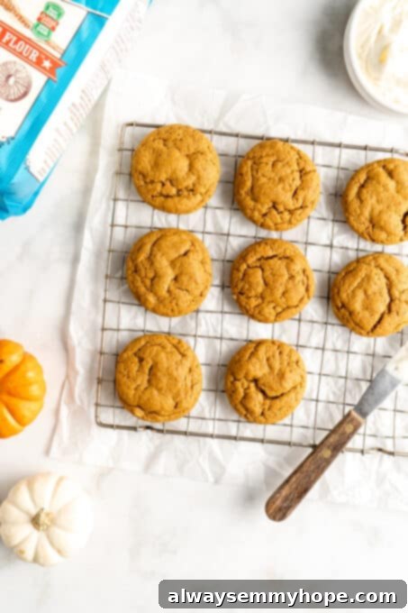 These easy vegan pumpkin cookies are ultra-soft. Made with 10 ingredients, they're topped with an irresistible cream cheese frosting, too! Freshly baked vegan pumpkin cookies cooling on a wire rack, with a golden-brown edge and soft centers.