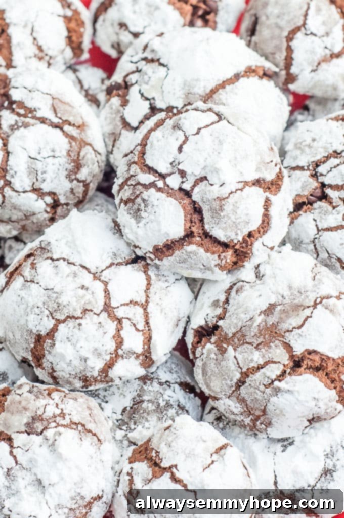 Vegan Christmas Delights: 50 Festive Plant-Based Meals 23 Top down shot of crinkle cookies on a red cloth.