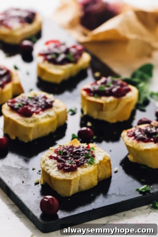 A close-up view of a cranberry goat cheese crostini, showcasing its texture and festive topping on a dark slate.