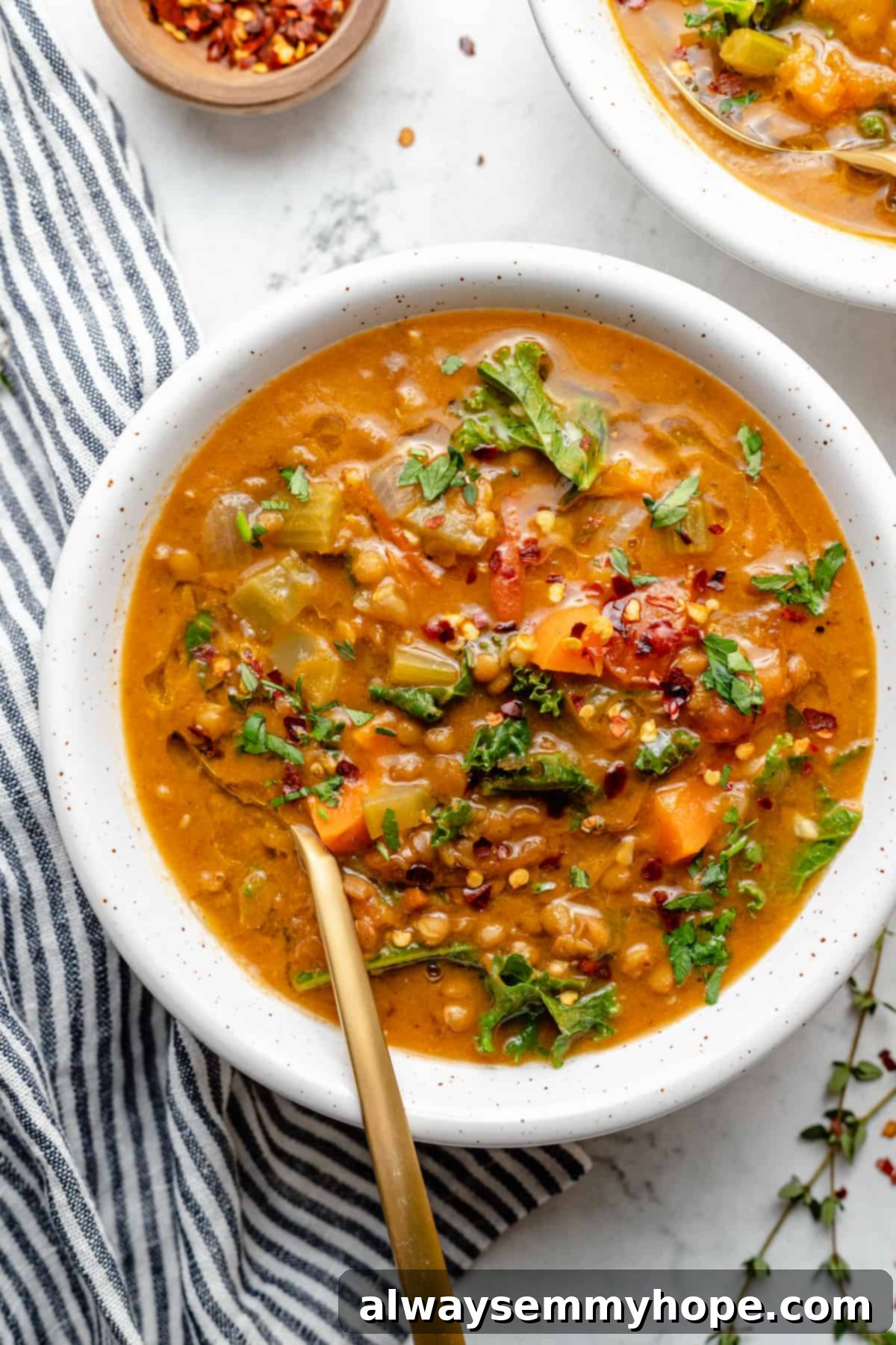 Overhead view of chunky lentil soup in white bowl with gold spoon