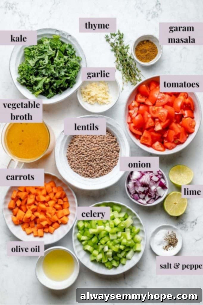Overhead view of vegan lentil soup ingredients