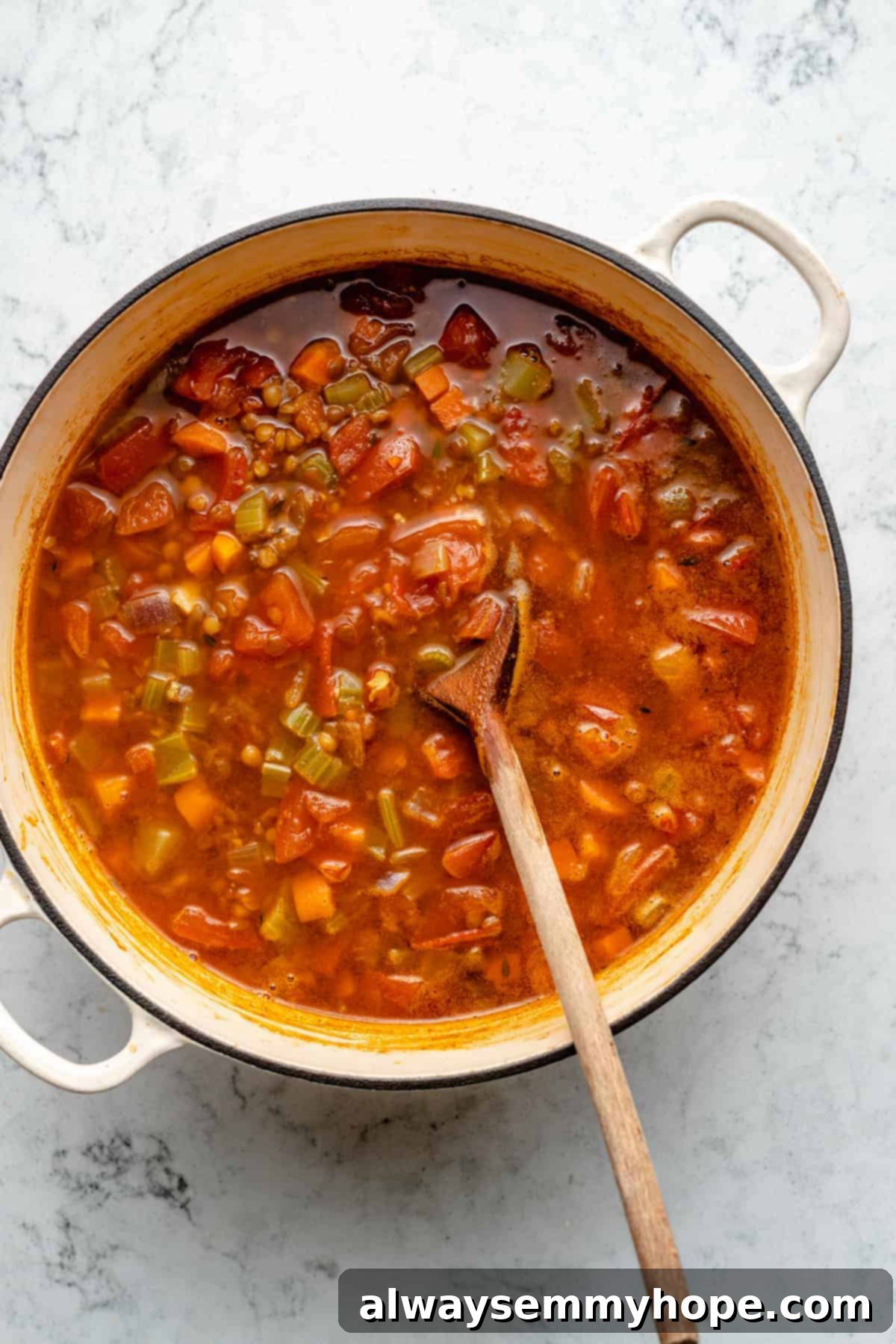 Overhead view of lentil soup in pot before pureeing