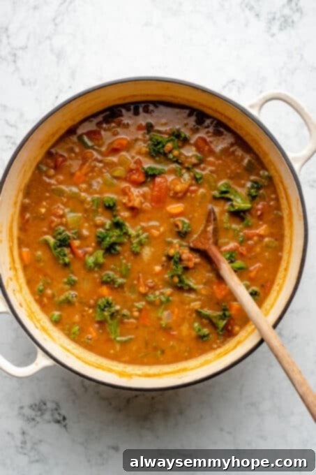 Overhead view of lentil vegetable soup in enamel pot