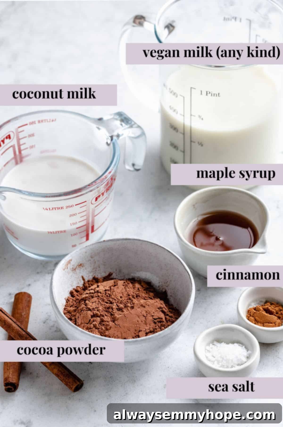 A selection of vegan hot chocolate ingredients laid out, including cocoa powder, milks, maple syrup, and sea salt.