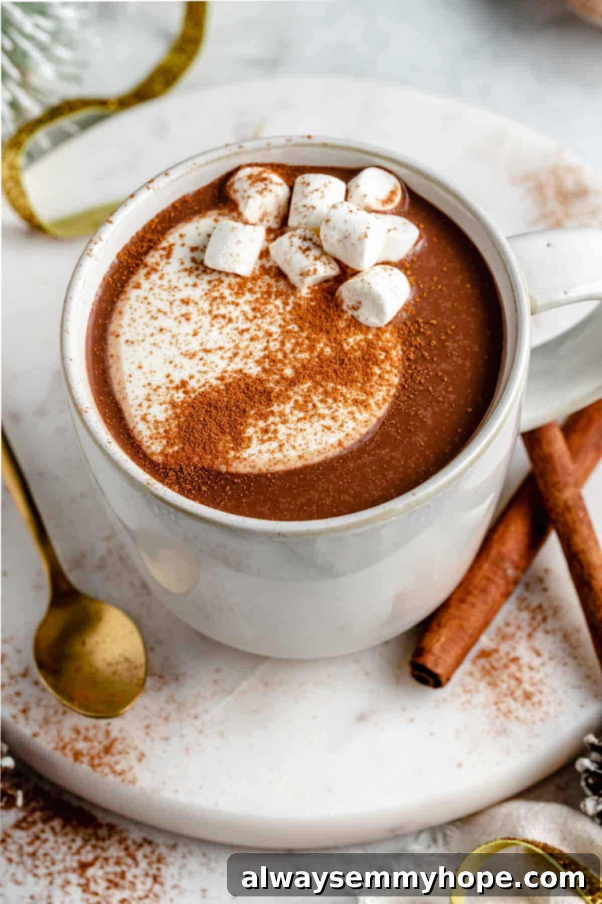 Top-down view of a mug filled with creamy hot cocoa, topped with generous vegan whipped cream, a dusting of cinnamon, and mini vegan marshmallows.