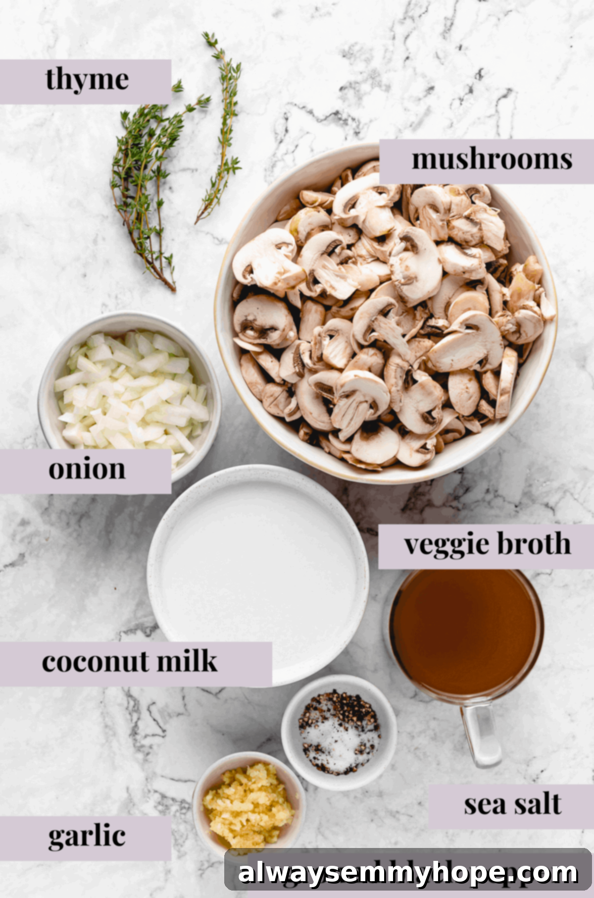 Close-up shot of raw, sliced mushrooms, garlic cloves, and fresh thyme sprigs, showcasing the simple ingredients for creamy mushroom soup.