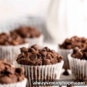 Decadent Double Chocolate Banana Muffins 2 Chocolate banana muffins in white muffin wrappers on a countertop.