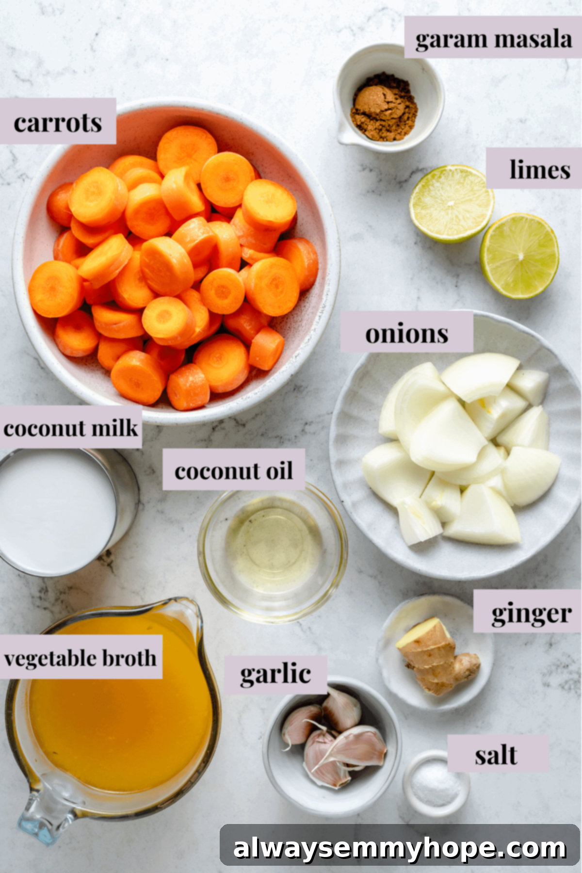 Golden Roasted Carrot Ginger Soup 3 Overhead view of roasted carrot soup ingredients