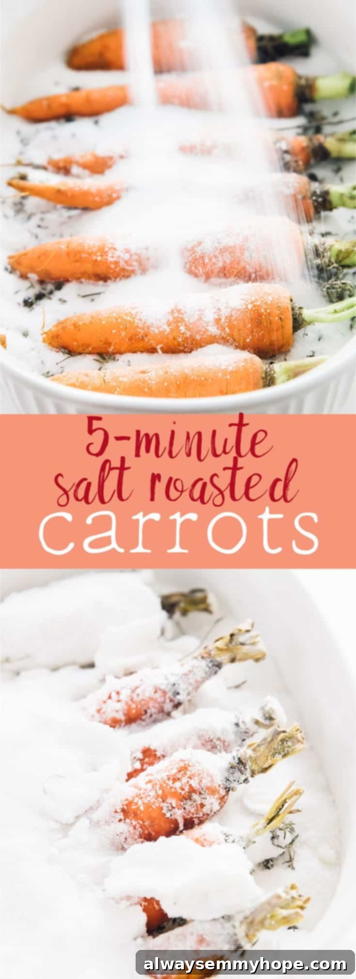 The Alchemy of Salt Roasted Carrots 9 These Salt Roasted Carrots are a MUST try! The roasted carrots are perfectly seasoned, beautifully caramelised, and taste absolutely divine! So easy, and you can roast more veggies in the salt! via https://jessicainthekitchen.com