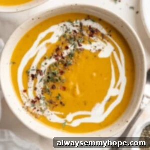 Velvety Butternut Dream 2 Overhead view of creamy butternut squash soup in rustic bowl