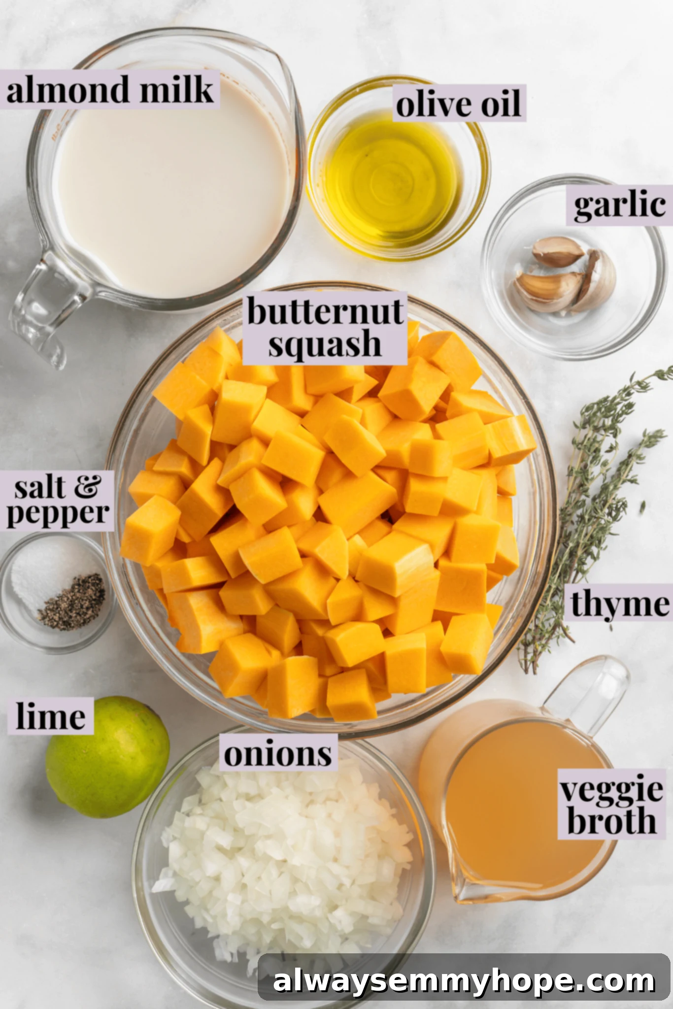 Fresh Ingredients for Butternut Squash Soup Overhead view of fresh ingredients for butternut squash soup including whole squash, onion, garlic, herbs, and plant milk