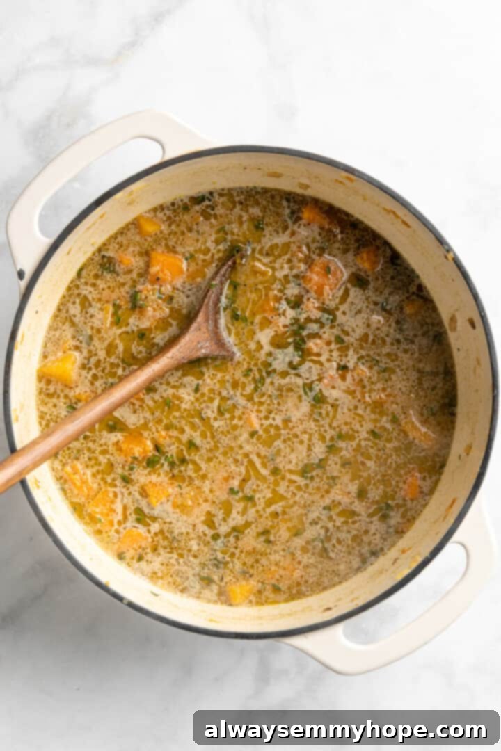 Butternut Squash Soup Simmering Before Blending Overhead view of butternut squash soup simmering in a pot before pureeing, showing the liquids and vegetables
