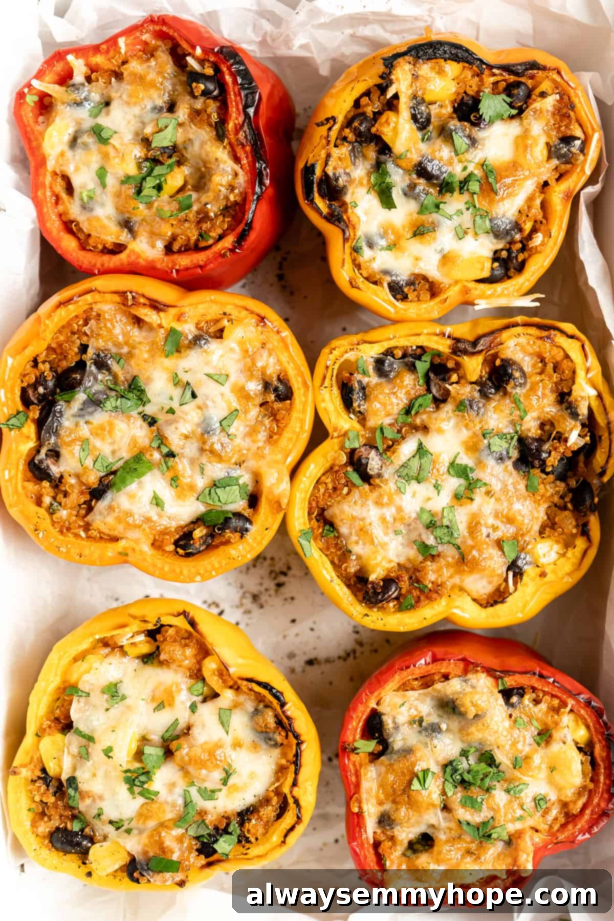 Vibrant Tex-Mex vegan stuffed peppers in a baking dish, ready to be served.