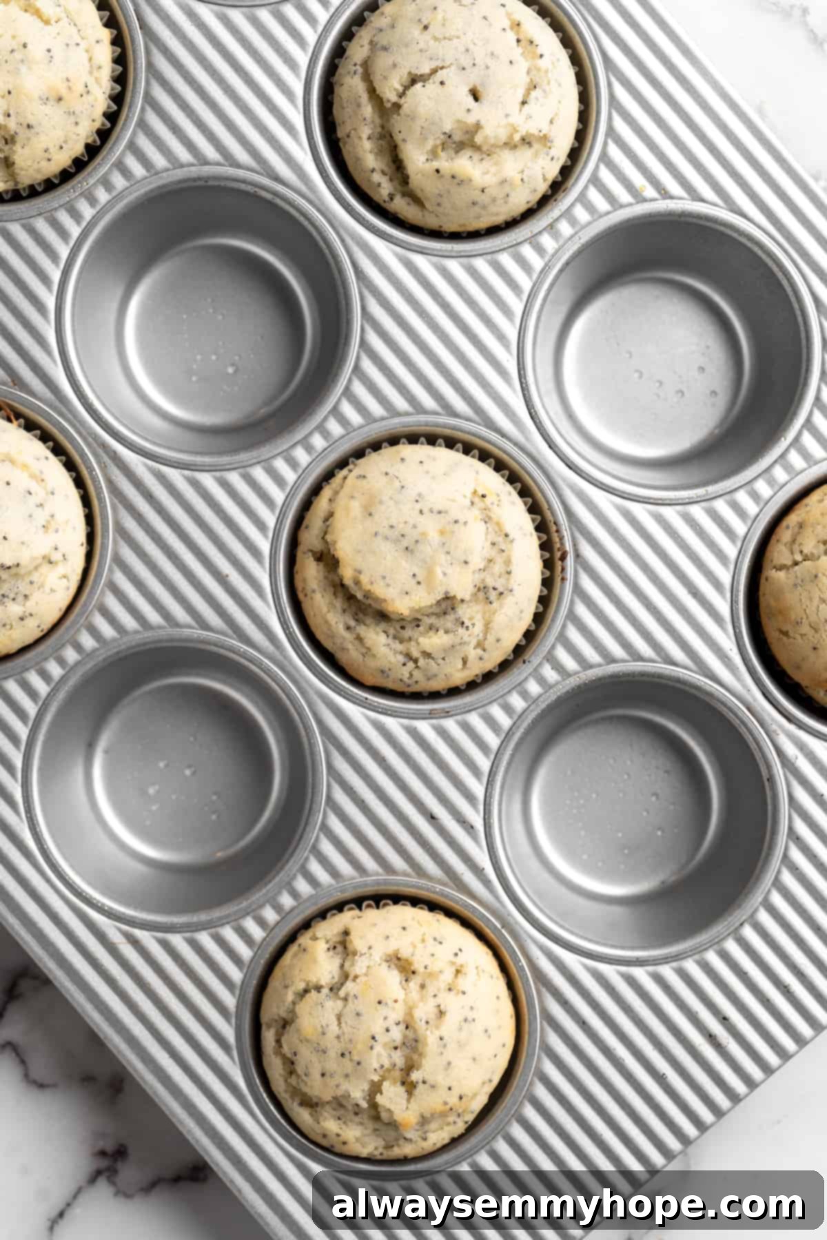 Freshly baked golden-brown vegan lemon poppyseed muffins still in the pan, showing their tall, domed tops