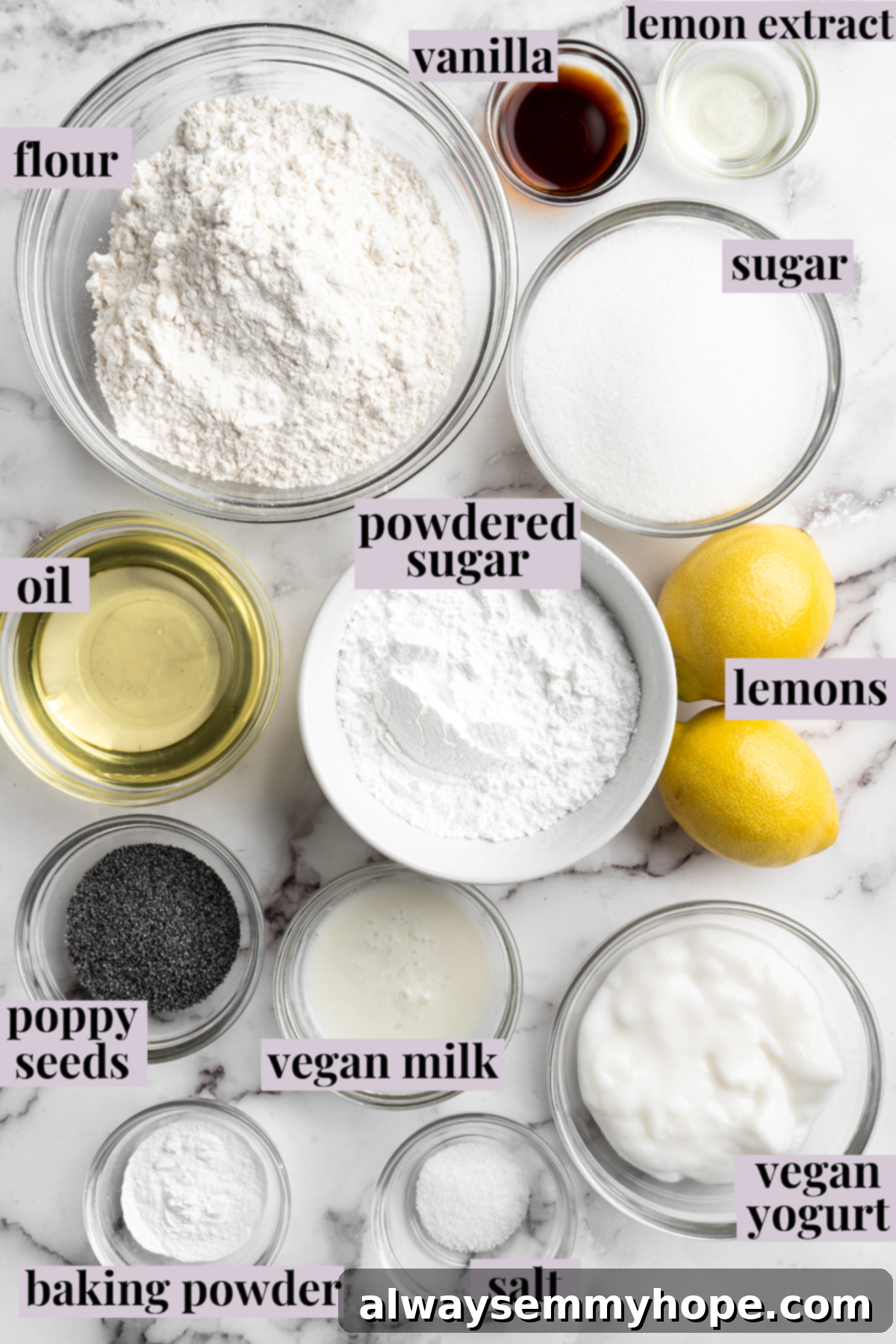 Overhead view of fresh ingredients for vegan lemon poppyseed muffins laid out with labels including flour, sugar, lemons, yogurt, and poppyseeds