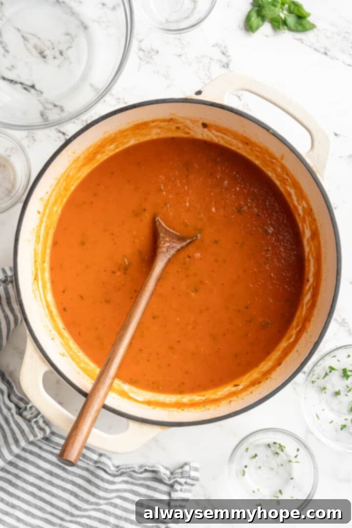 The final, perfectly blended homemade tomato sauce in a pot, garnished with a wooden spoon, ready to be served or stored. Overhead view of a pot of smooth, rich homemade tomato sauce with a wooden spoon
