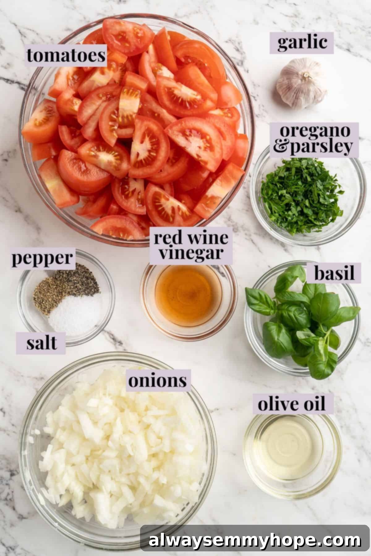 A vibrant display of fresh ingredients: ripe tomatoes, a head of garlic, onions, and herbs, ready for making homemade tomato sauce. Overhead view of fresh ingredients for homemade tomato sauce including ripe tomatoes, garlic, onions, and herbs
