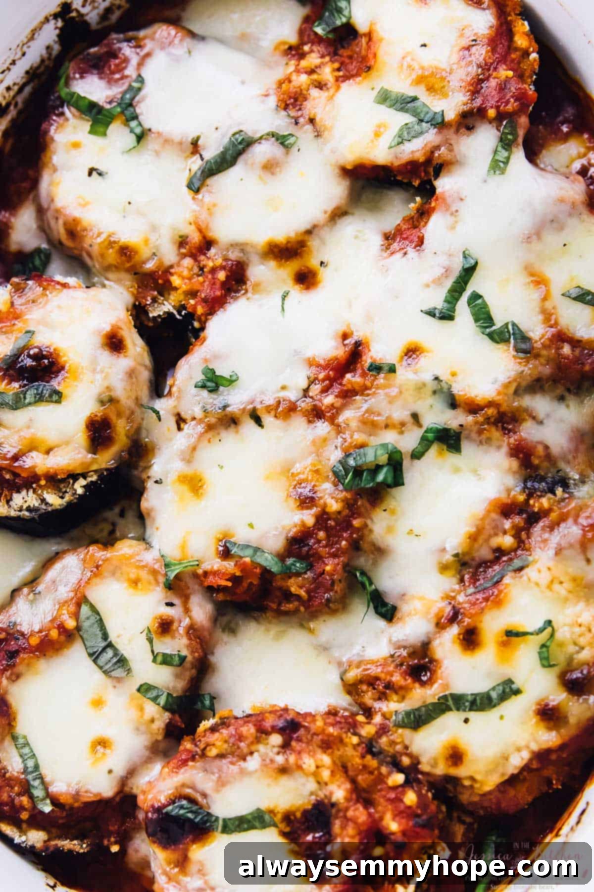 Overhead view of golden-brown baked eggplant parmesan in a casserole dish, ready to serve.