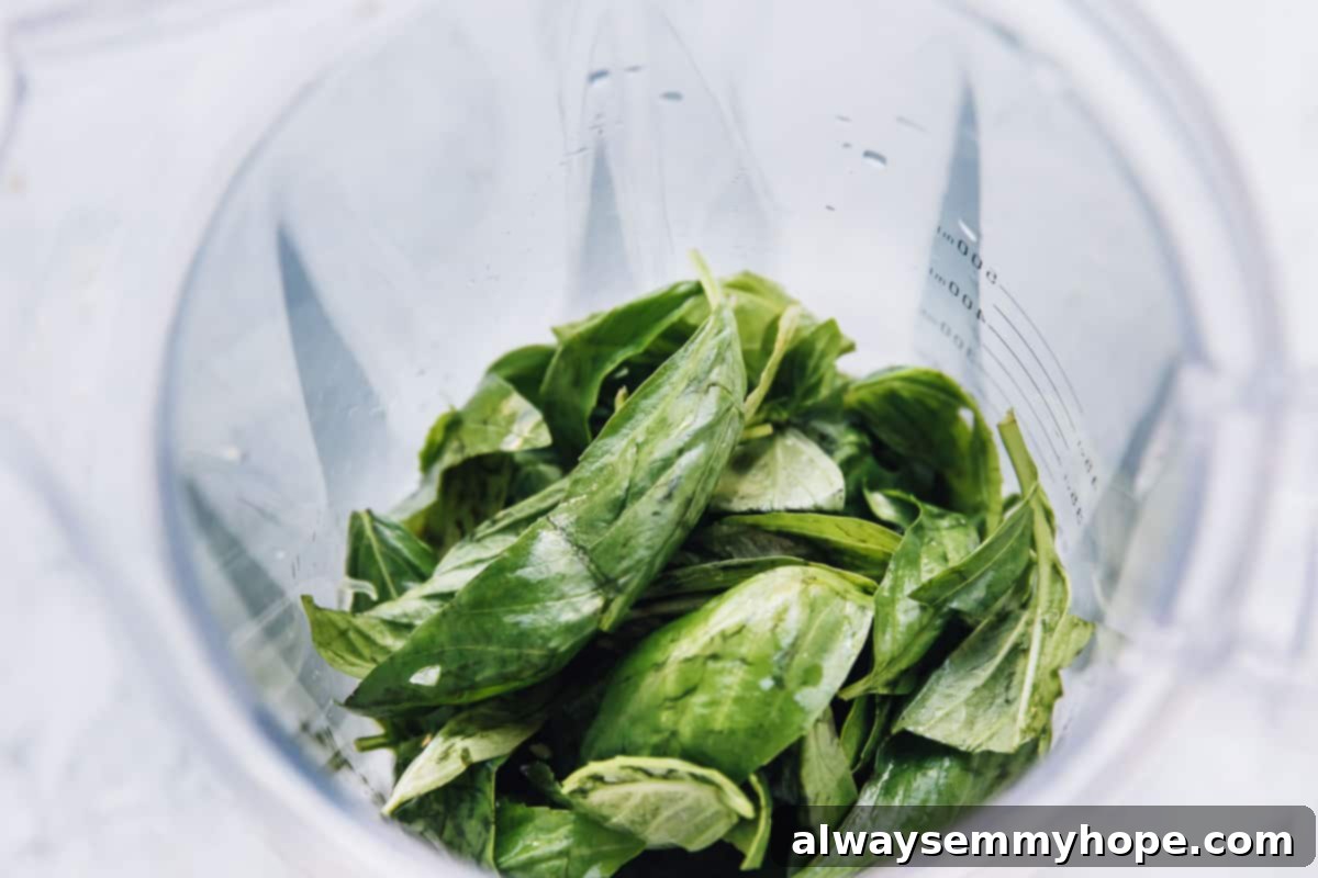 Close-up of fresh basil leaves being added to a blender for pesto preparation.