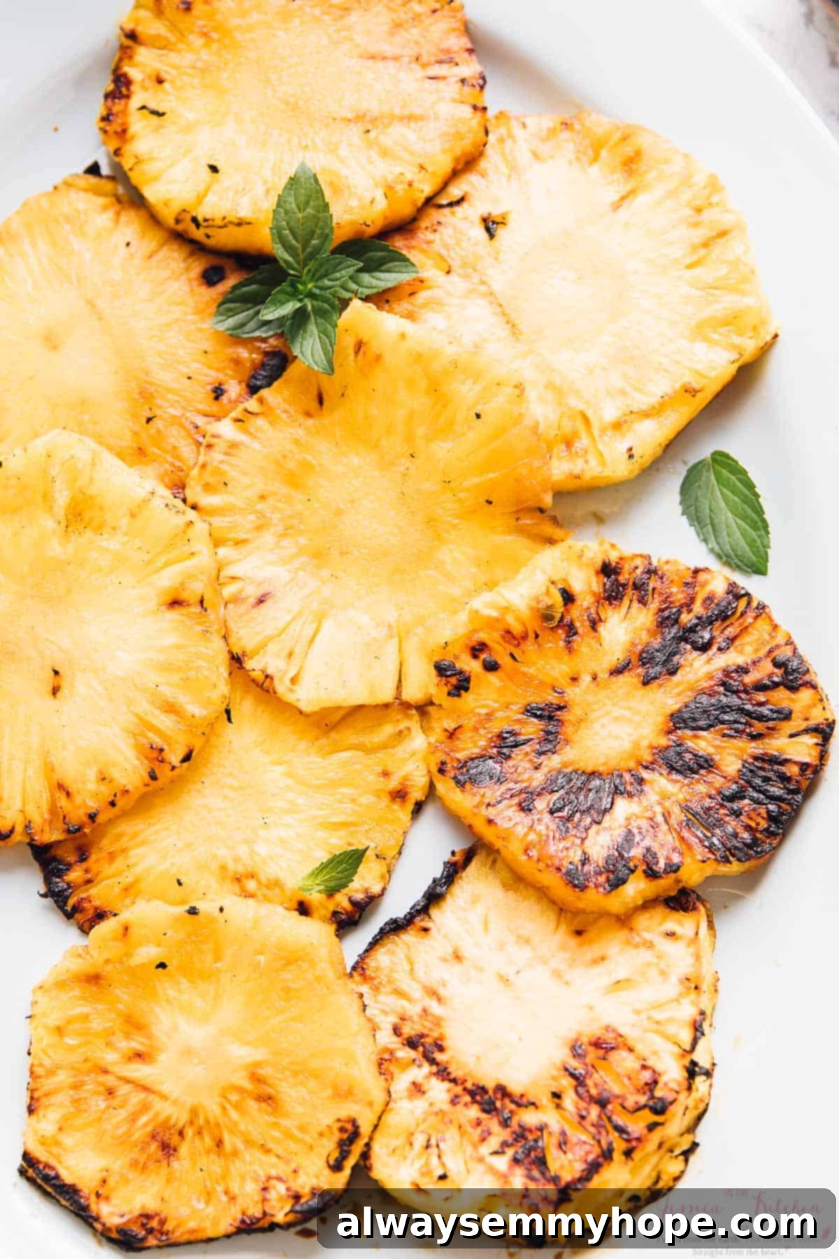 Close-up shot of grilled pineapple slices on a pristine white dish, ready to be served.