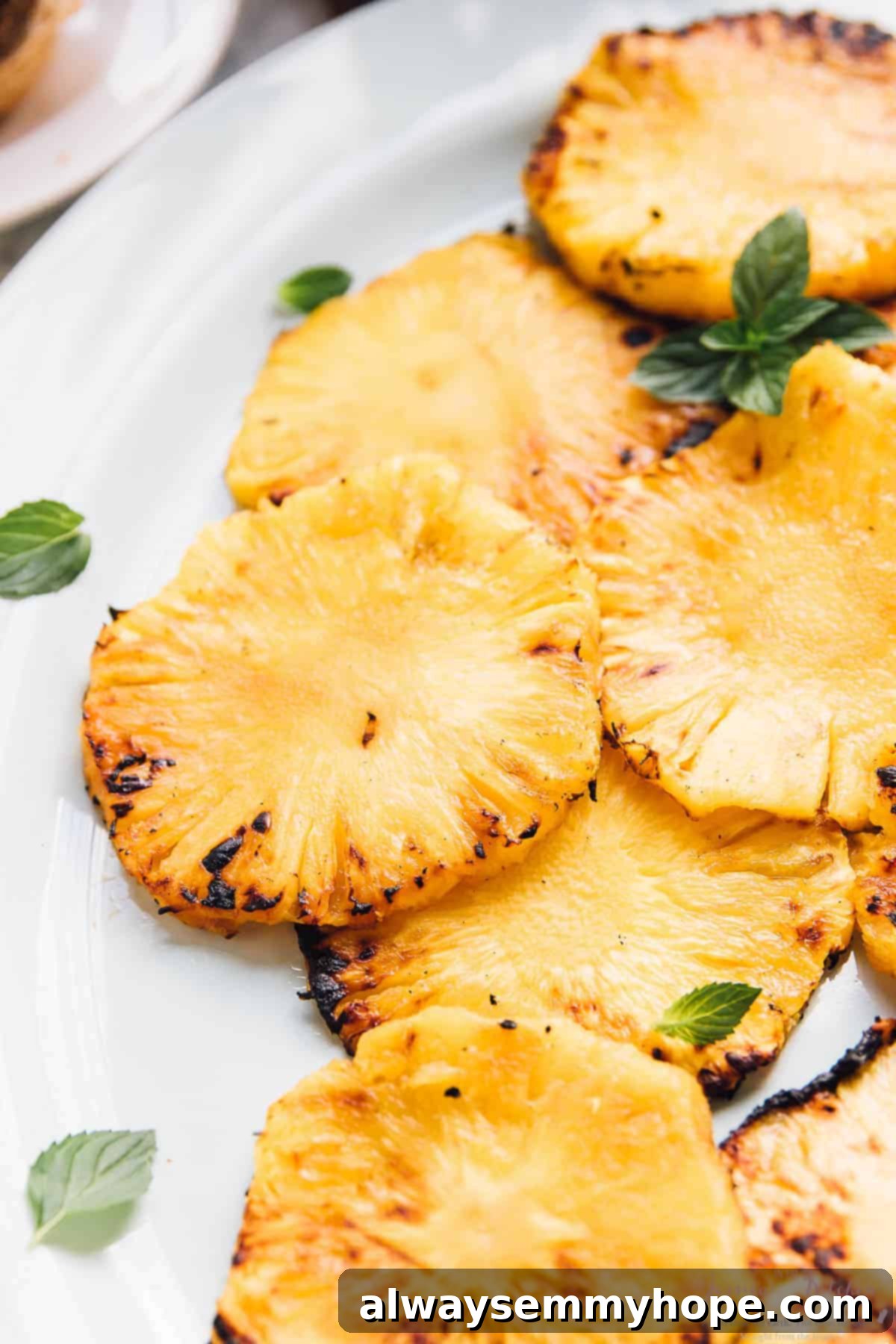 Assortment of grilled pineapple slices artfully arranged on a white serving plate, highlighting the delicious char marks.