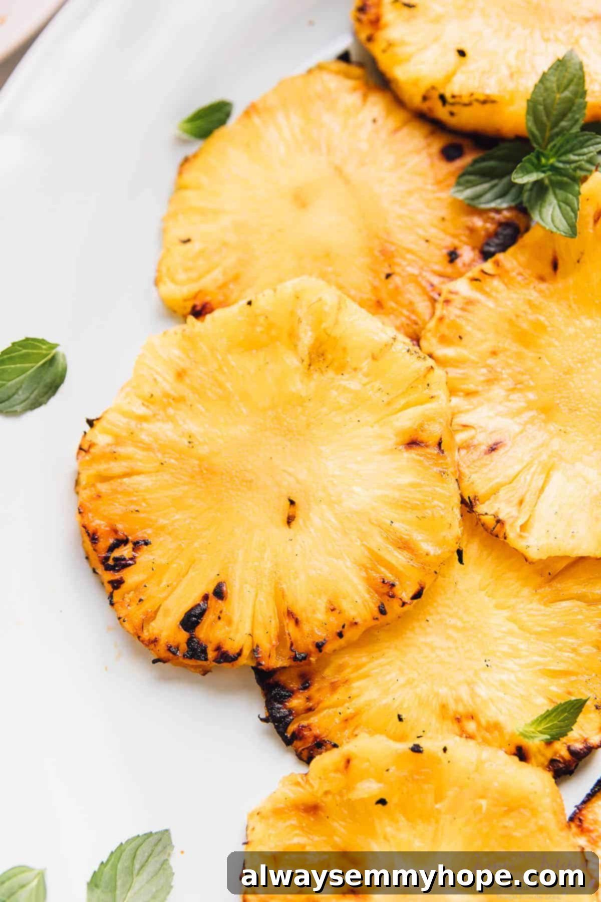 Artistically plated grilled pineapple slices garnished with delicate mint leaves on a white dish, ready for serving.