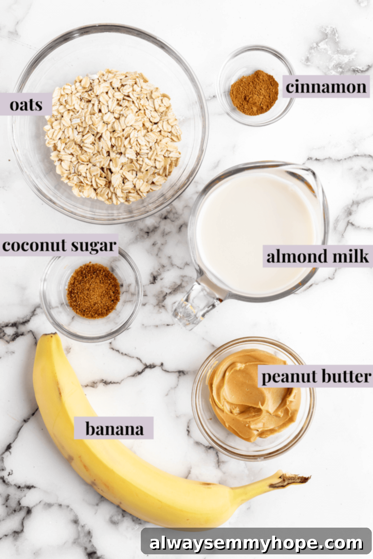 Overhead view of peanut butter banana overnight oats ingredients with labels including almond milk, oats, banana, cinnamon, coconut sugar, and peanut butter.