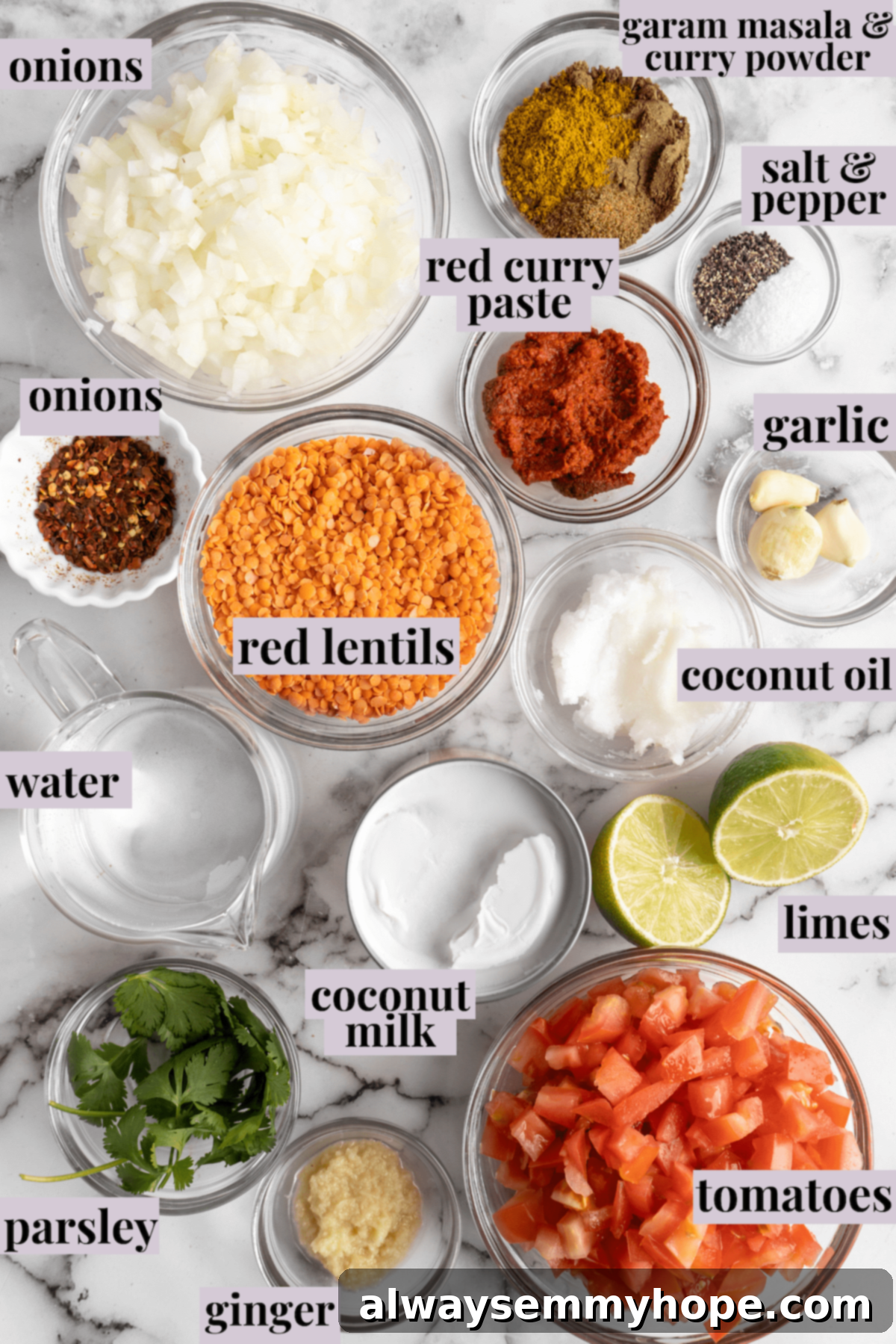 This red lentil curry is classic vegan comfort food! It’s a flavorful one-pot recipe that comes together in under an hour. An overhead view of various fresh ingredients laid out on a kitchen counter, meticulously prepped and labeled for making red lentil curry.