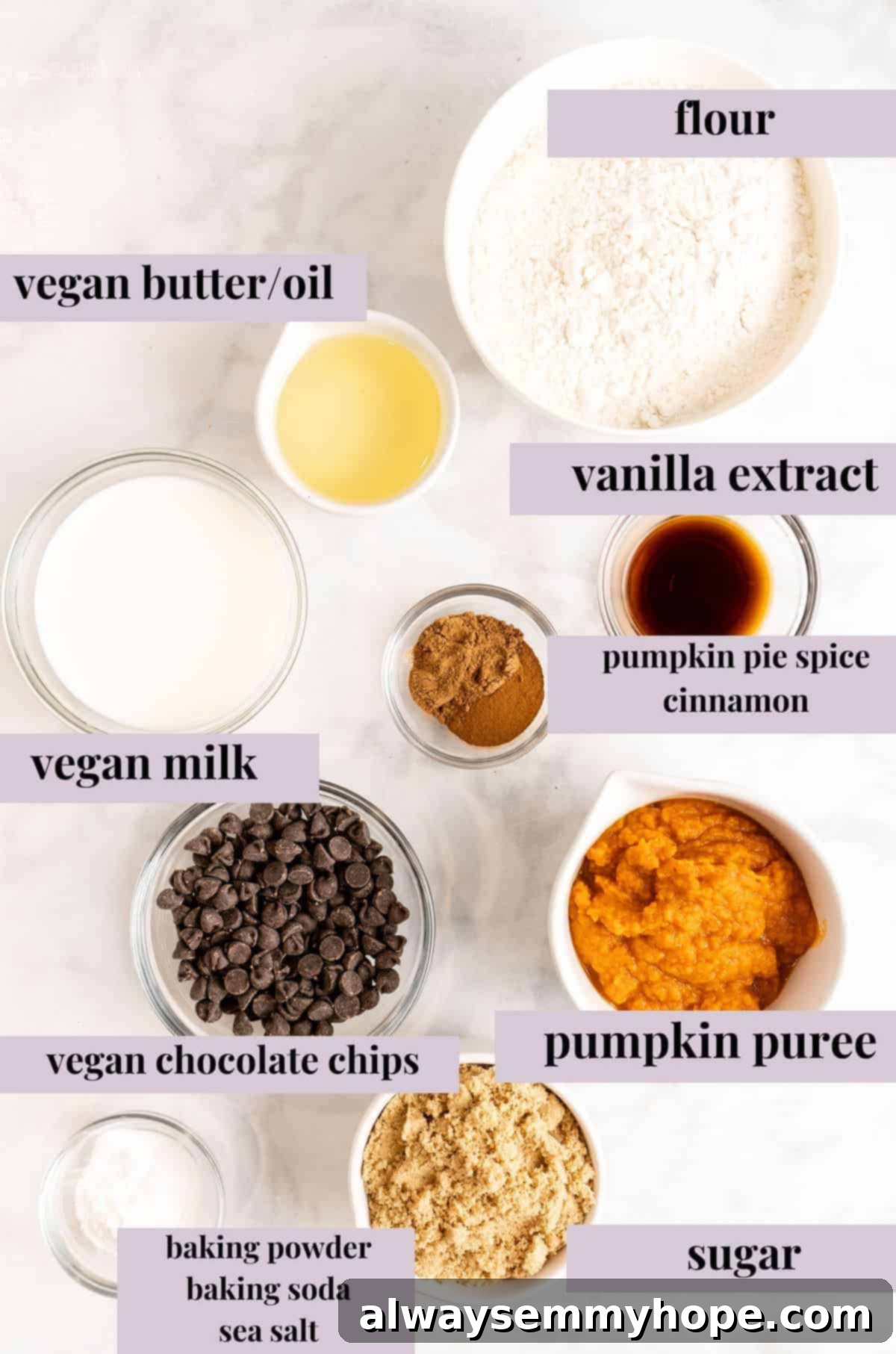 Overhead view of all the ingredients for vegan chocolate chip pumpkin bread laid out with labels, including pumpkin puree, flour, sugar, spices, and chocolate chips.