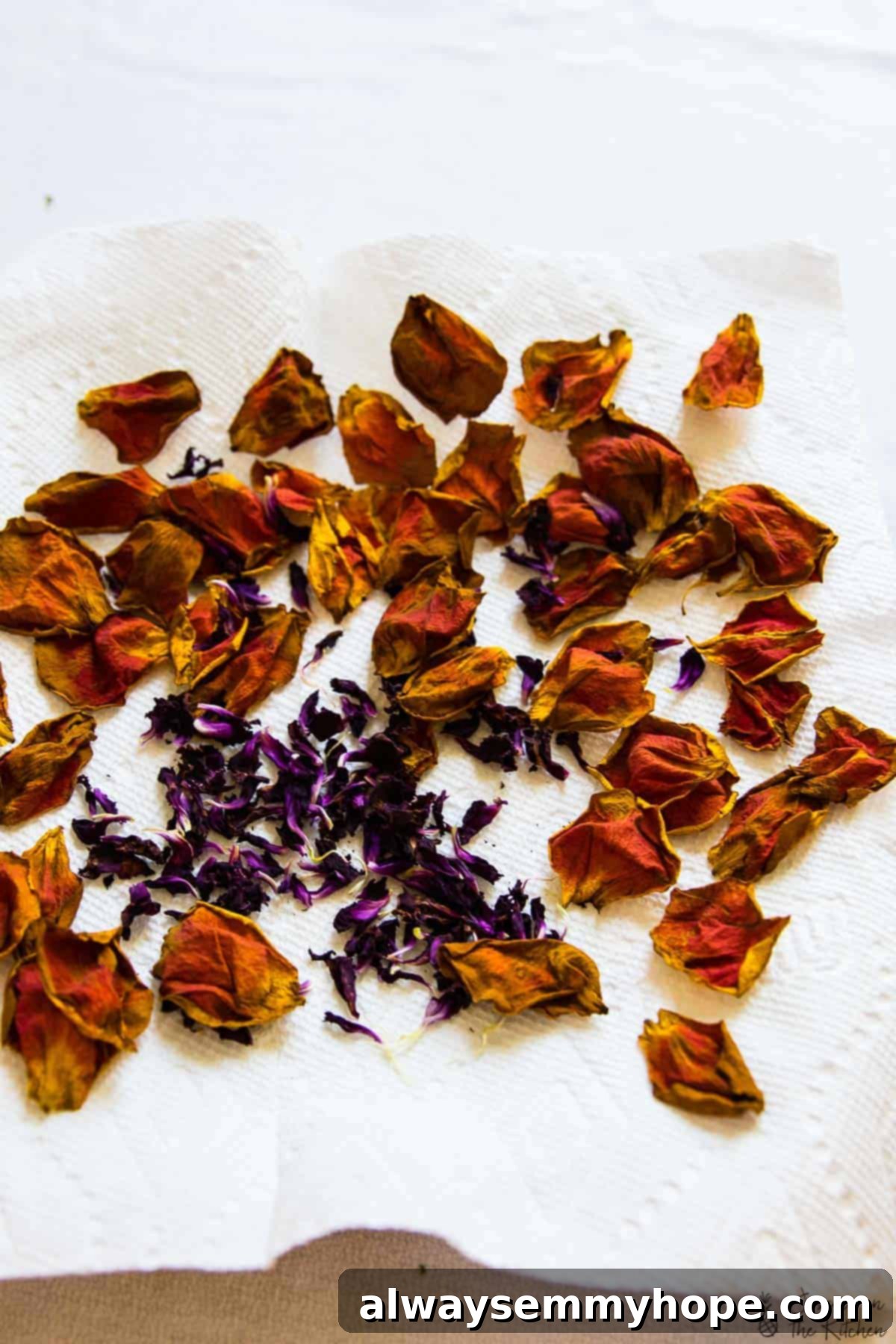 Top-down shot of dried rose petals scattered on a white kitchen towel, showing their vibrant preserved color.