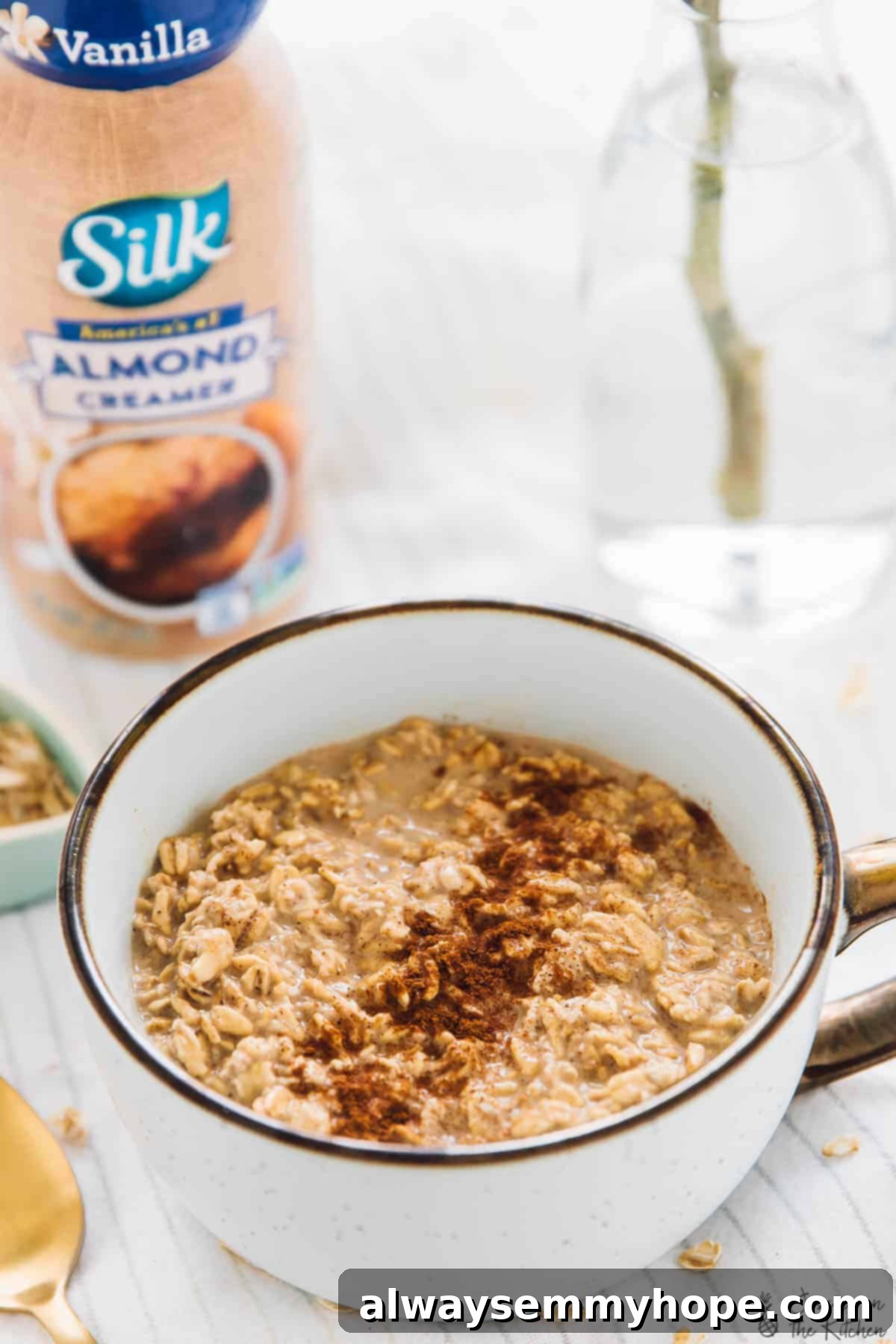 Spiced Espresso Overnight Oats 5 A vibrant, close-up shot of Espresso Cinnamon Overnight Oats in a white bowl, garnished with a sprinkle of fresh cinnamon, inviting a taste.