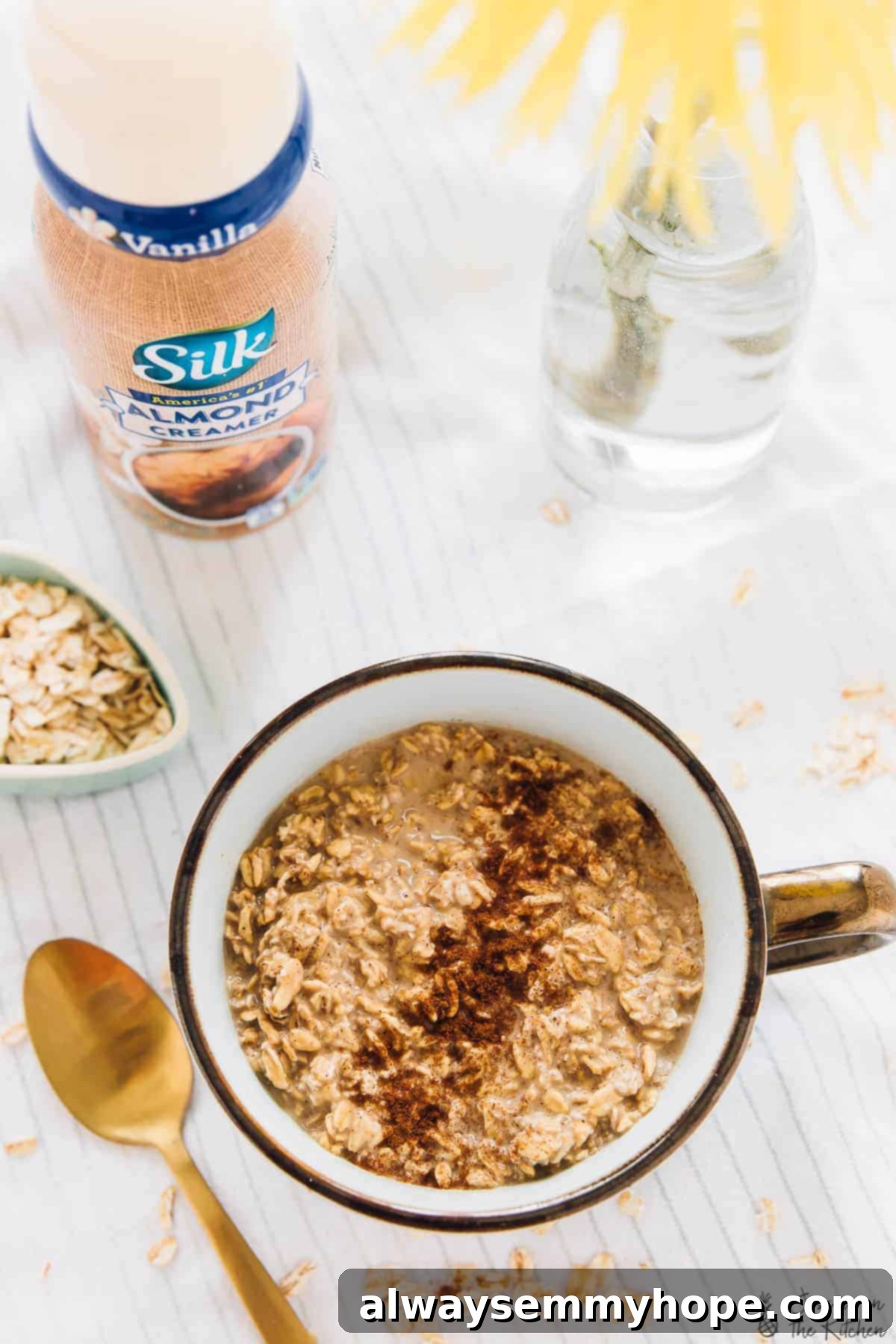 Spiced Espresso Overnight Oats 6 A top-down view of Espresso Cinnamon Overnight Oats in a white cup, beautifully arranged to showcase its rich color and inviting texture.