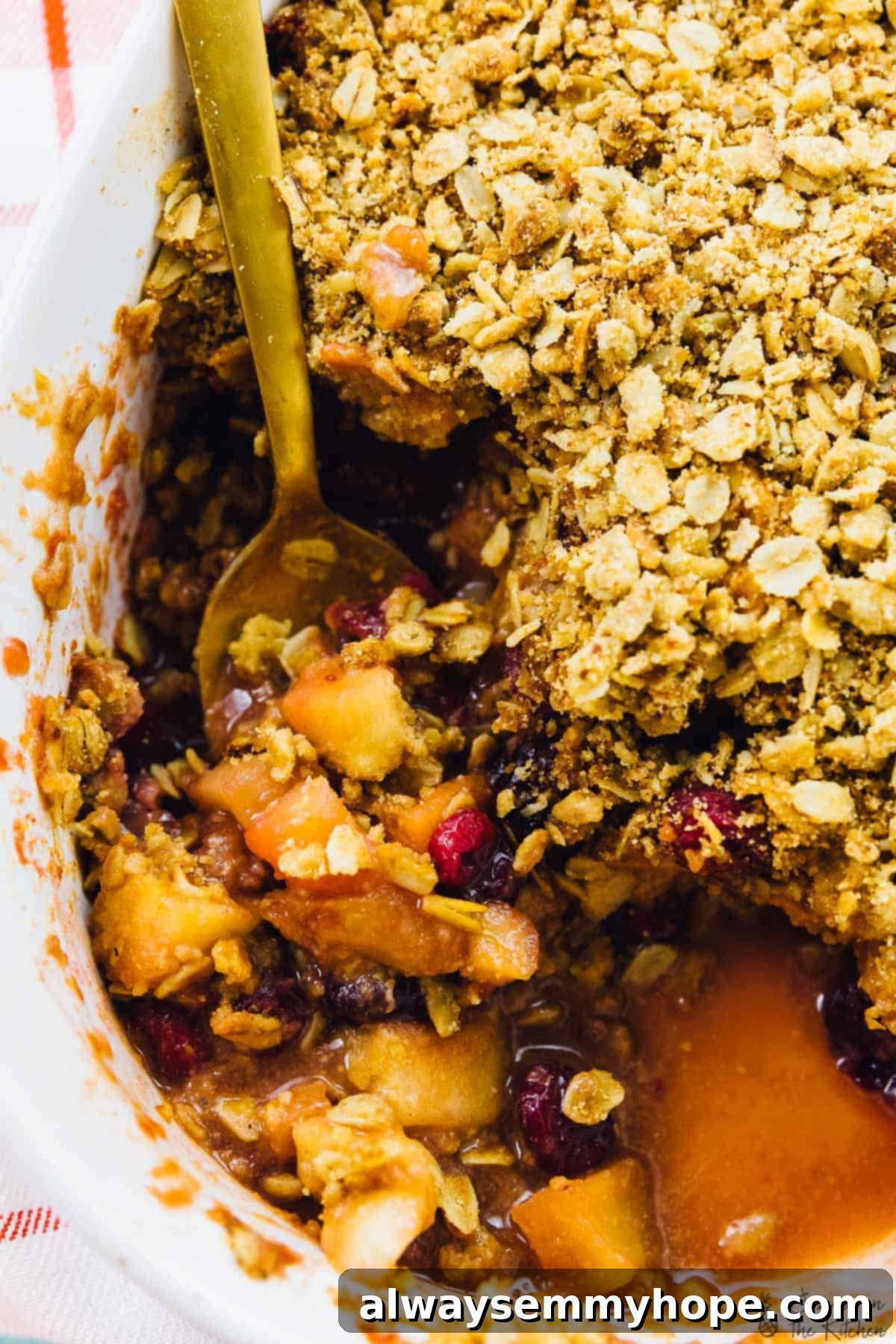 An overhead shot of a freshly baked cranberry apple crisp in a rustic baking dish, with a perfectly golden-brown, bubbly topping.