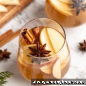 Hot spiced apple cider in glass with whole spices and apple slices