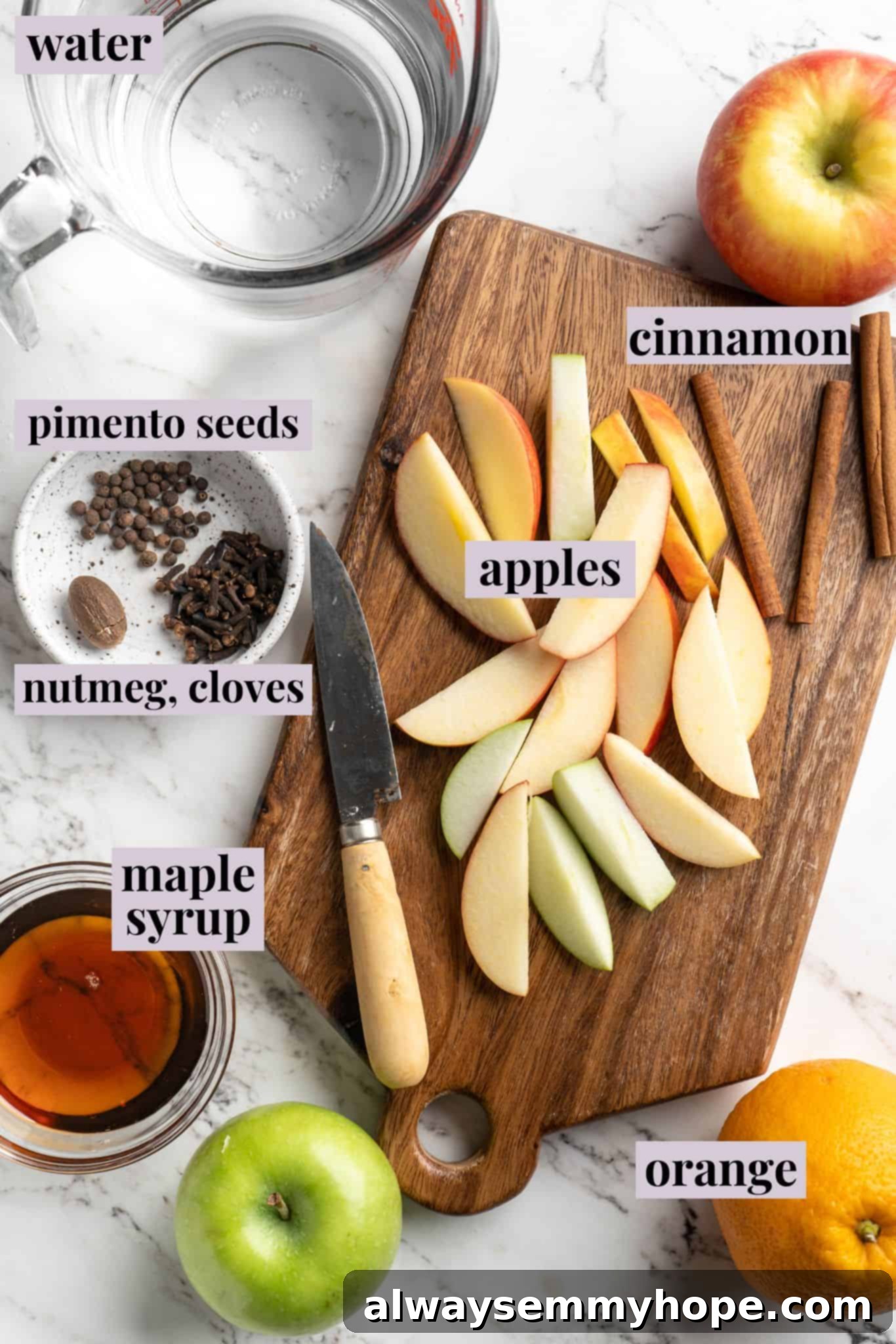 Overhead shot of fresh ingredients laid out for hot spiced apple cider, including whole apples, an orange, cinnamon sticks, whole cloves, nutmeg, and pimento seeds. Labels indicate each ingredient.