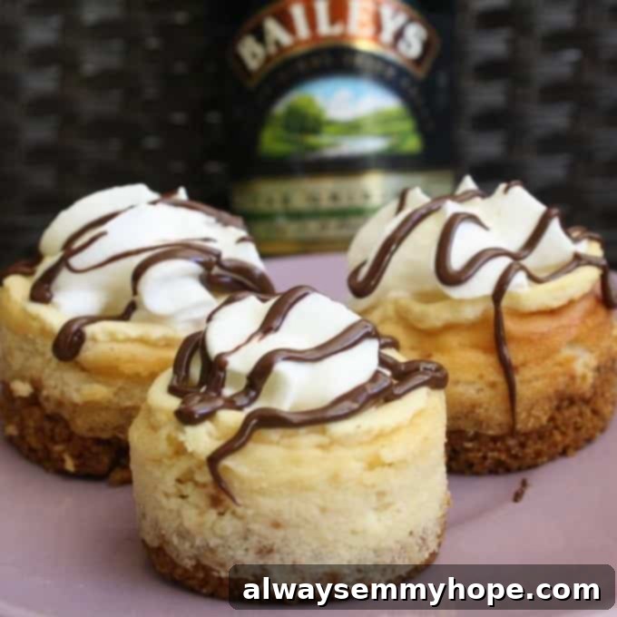 Need an indulgent pick-me-up? Try these creamy, boozy Mini Baileys Cheesecakes topped with drizzled chocolate and whipped cream. Three Mini Baileys Cheesecakes in front of a bottle of Bailey's, garnished with chocolate drizzle and whipped cream.
