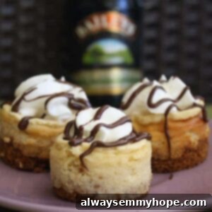 Mini Baileys Cheesecakes 2 img 1730 4