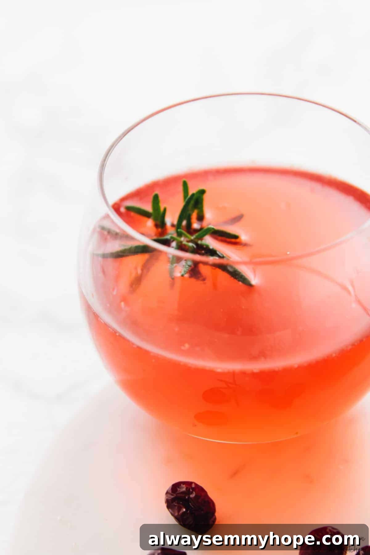 Close up of a gin cocktail in a round glass. 