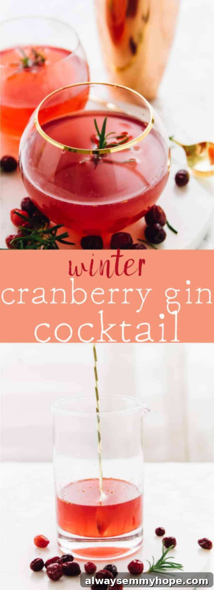 This Winter Cranberry Gin Cocktail will impress all of your guests! It's made with an easy rosemary infused simple syrup and only a few ingredients! via https://jessicainthekitchen.com