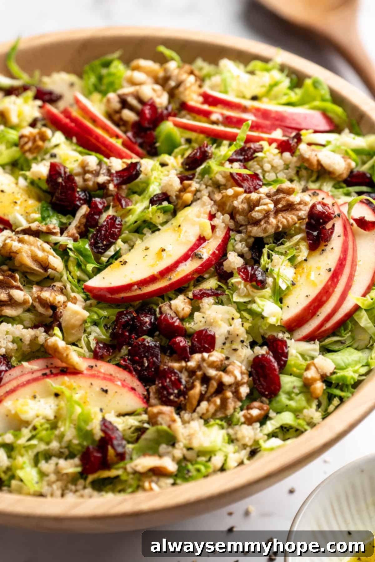 Shaved Brussels sprout salad with apples, walnuts, and cranberries in a beautiful serving bowl, ready to be enjoyed.