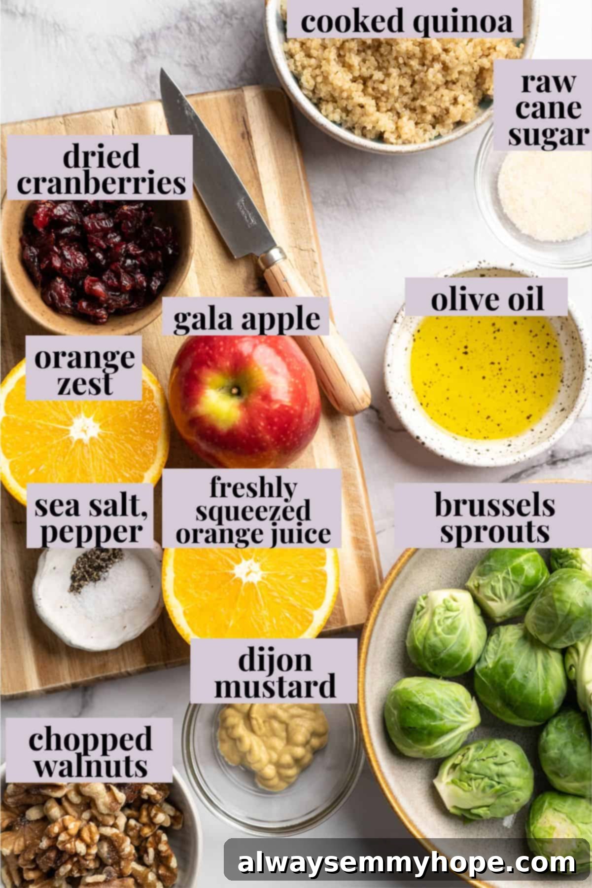 Overhead view of fresh ingredients for shaved Brussels sprouts salad laid out on a clean surface.