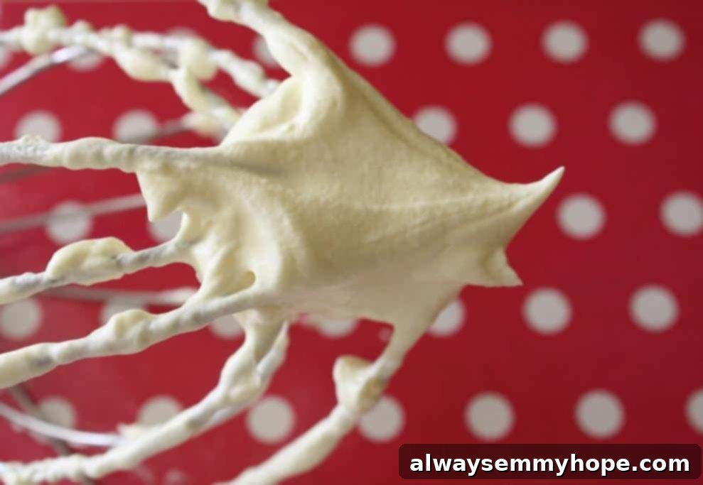Close up of fluffy whipped cream on a whisk against a bokeh background.