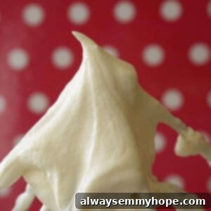 Close up of white frosting on a whisk.