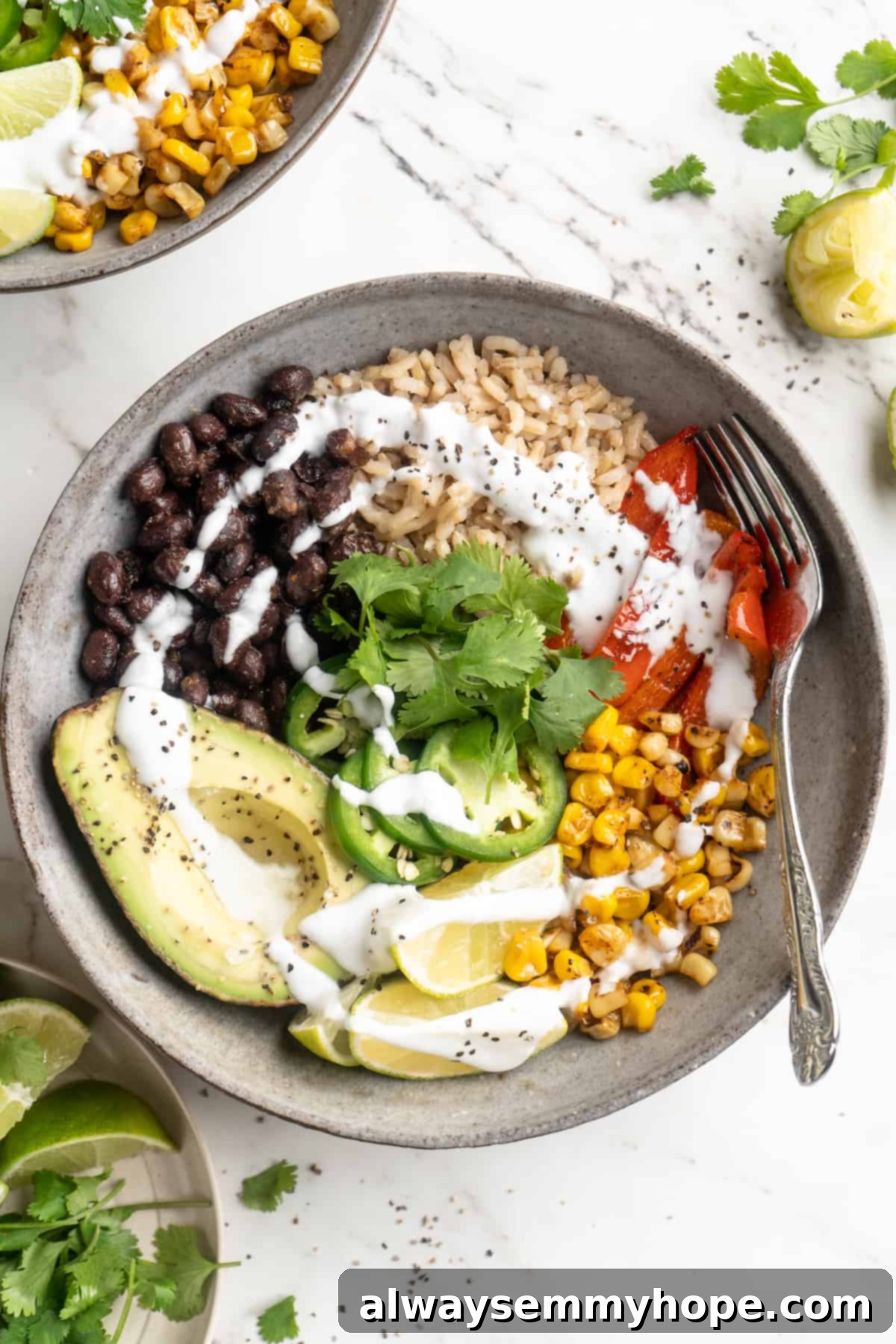 Overhead view of a beautifully arranged vegan burrito bowl with creamy lime crema drizzled on top, vibrant charred corn, black beans, quinoa, and fresh garnishes.